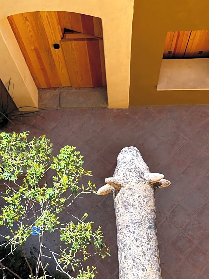 CASA PENUMBRA- Centro Oaxaca