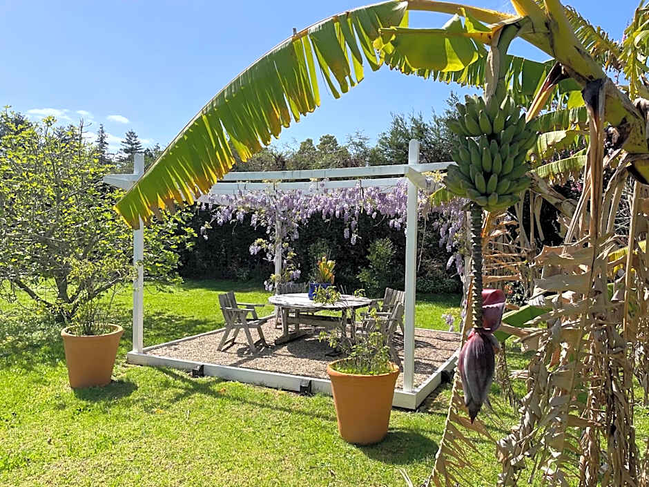 Pa Road B&B Kerikeri NZ