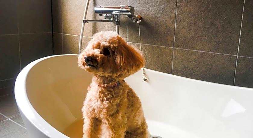 EN Takeda Castle Town Hotel