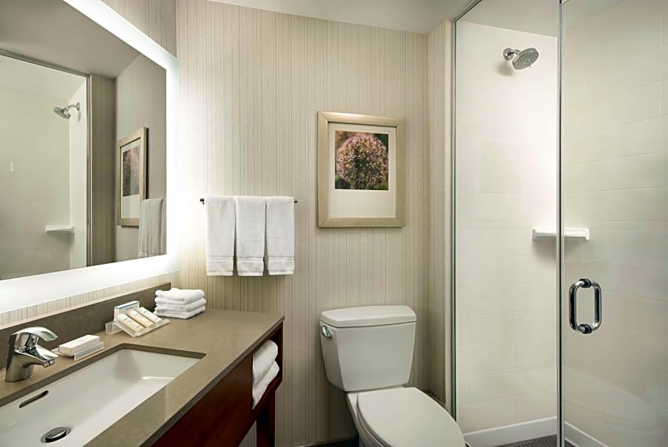 Hilton Garden Inn Long Island City New York