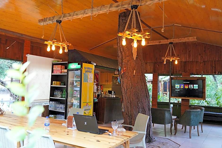 Canario Bungalows