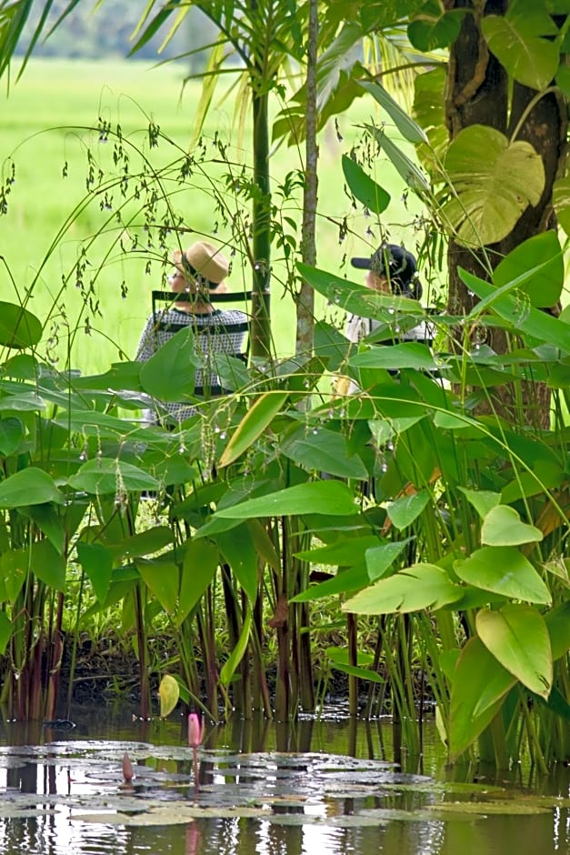 Tung Tong Homestay & Camping