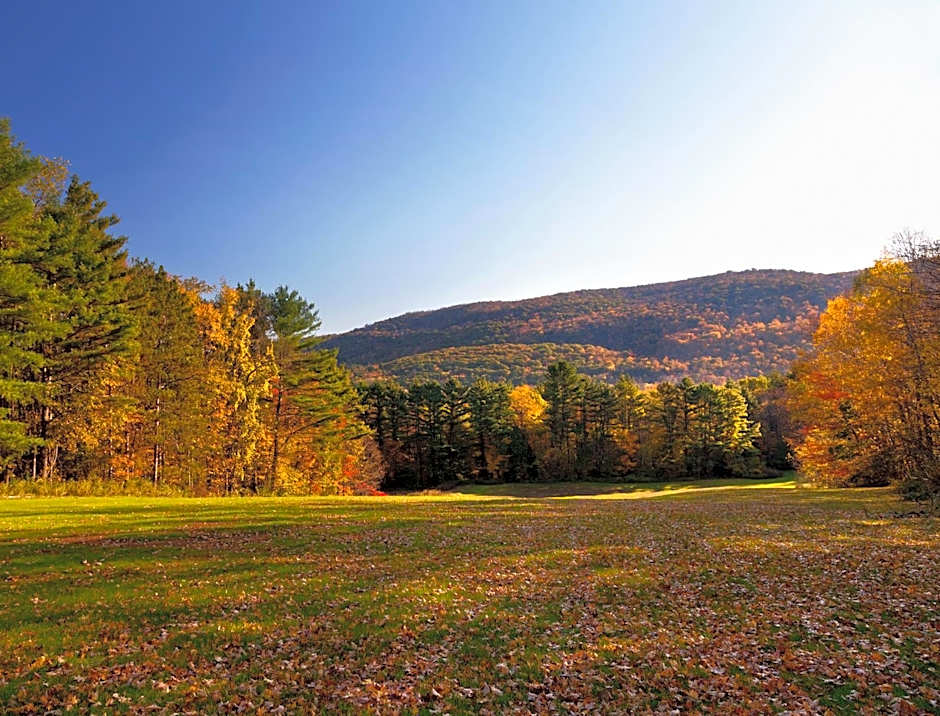 Eastover Estate and Eco Village