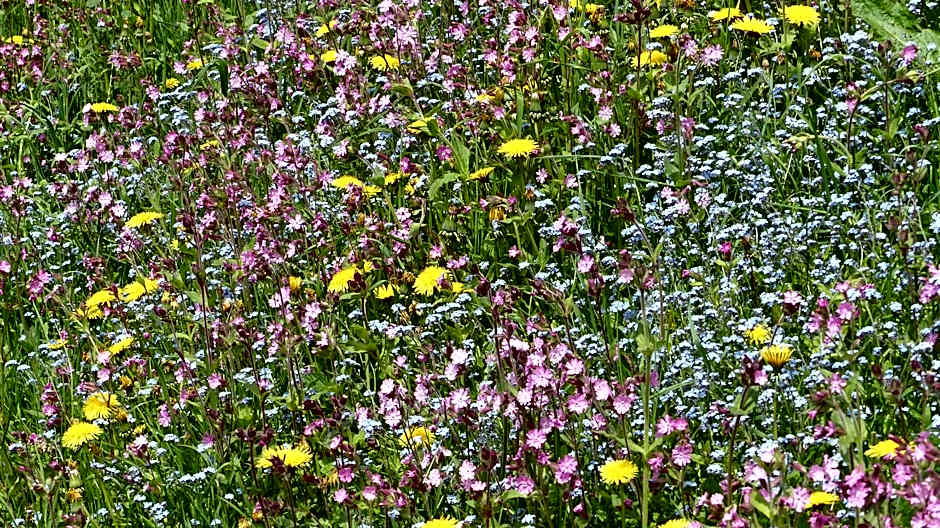 Brandtnerhof Betriebe