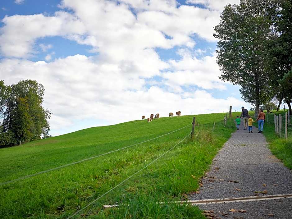 Erlebnisland Grizzlybär