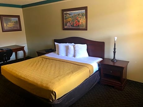 1 King Bed Non-Smoking