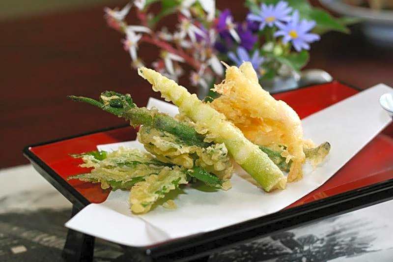 Gokayama Onsen Akaokan