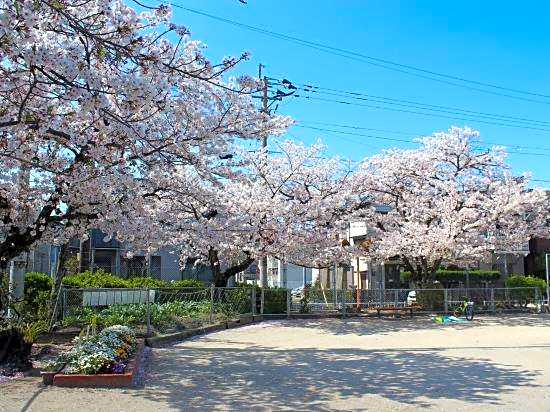 Miyuki House 1st Building