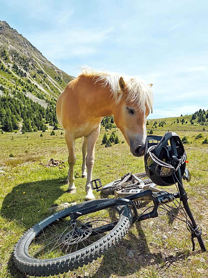 Palazi Apartments & Spa