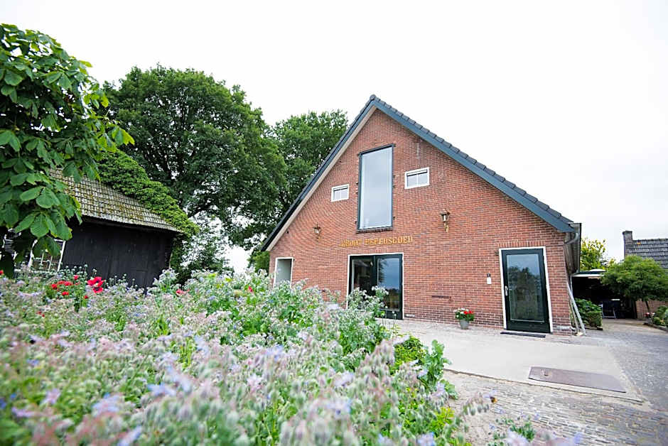 B&B Groot Pepersgoed