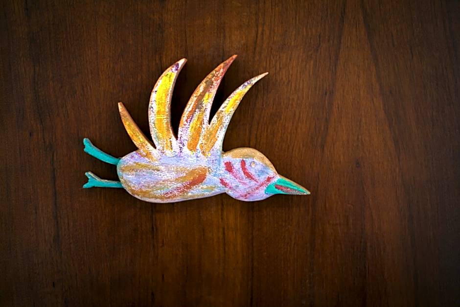 AMERICA NEI BOSCHI B&B