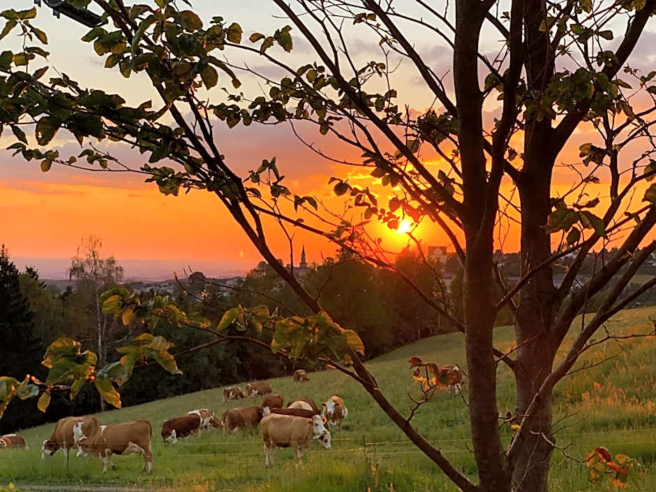 BERGHEIM Container Loft