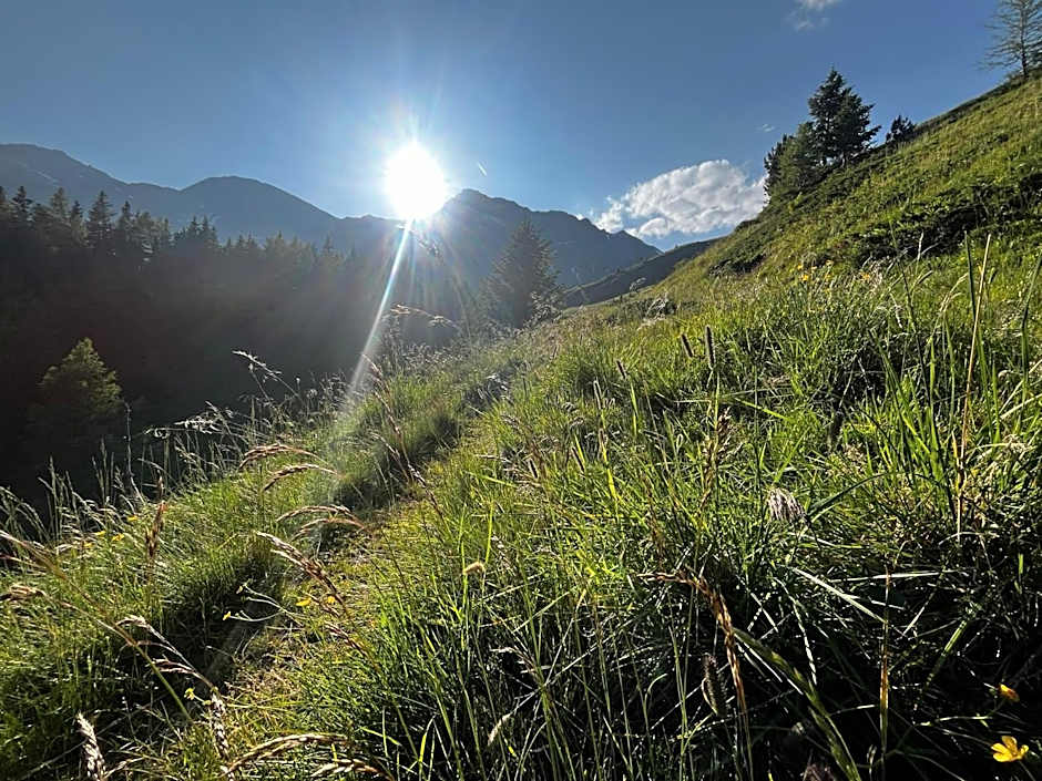 Apartments Hohenberger Mallnitz - Tauernbad und Sauna im Winter inklusive!