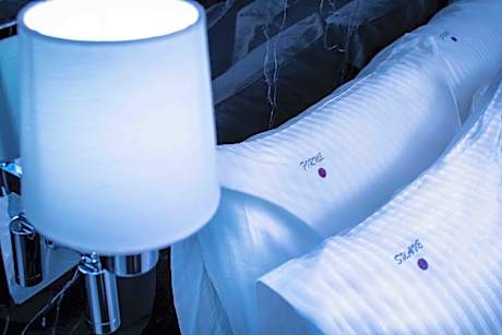 SUPERIOR SINGLE KING BED