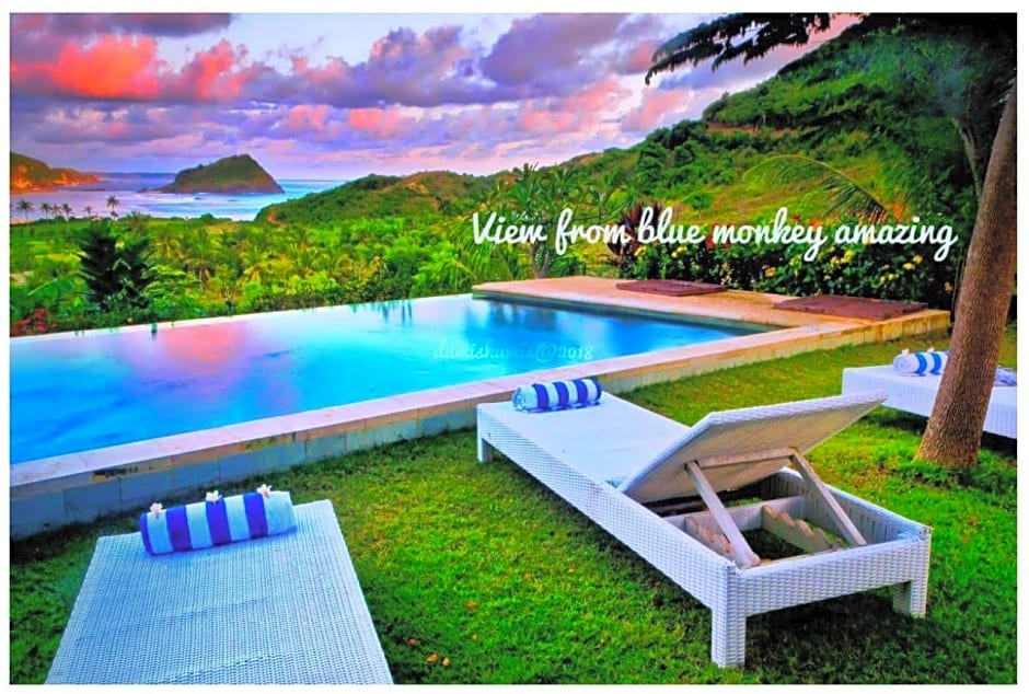 Blue Monkey Villas