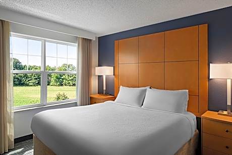 Studio, 1 King Bed with Sofa bed (Mobility Accessible, Transfer Shower)