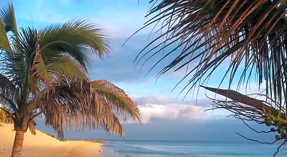 Apartamentos Palm Garden