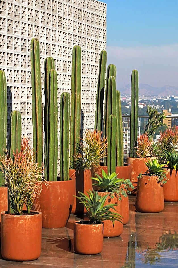 Voco Guadalajara Neruda By IHG