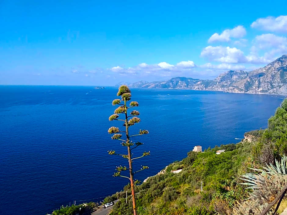 Hotel Villa Bellavista