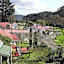 Whitianga Campground