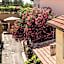Hotel Il Telamonio