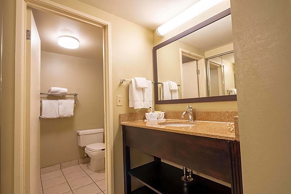 Holiday Inn Express Hotel & Suites Pittsburgh Airport By IHG