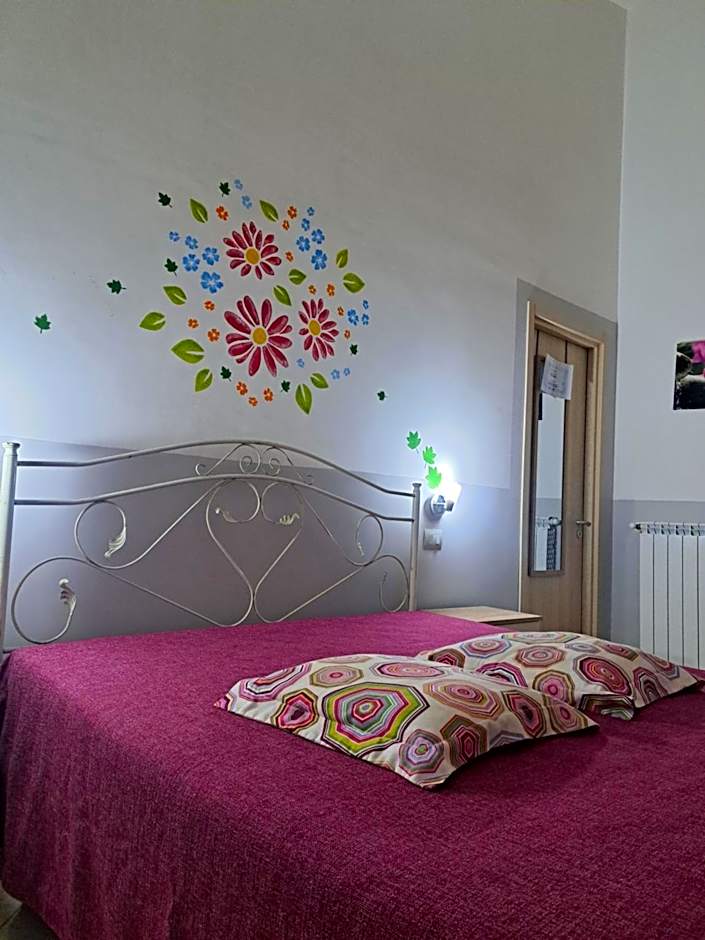 B&B Piccolo Vigneto