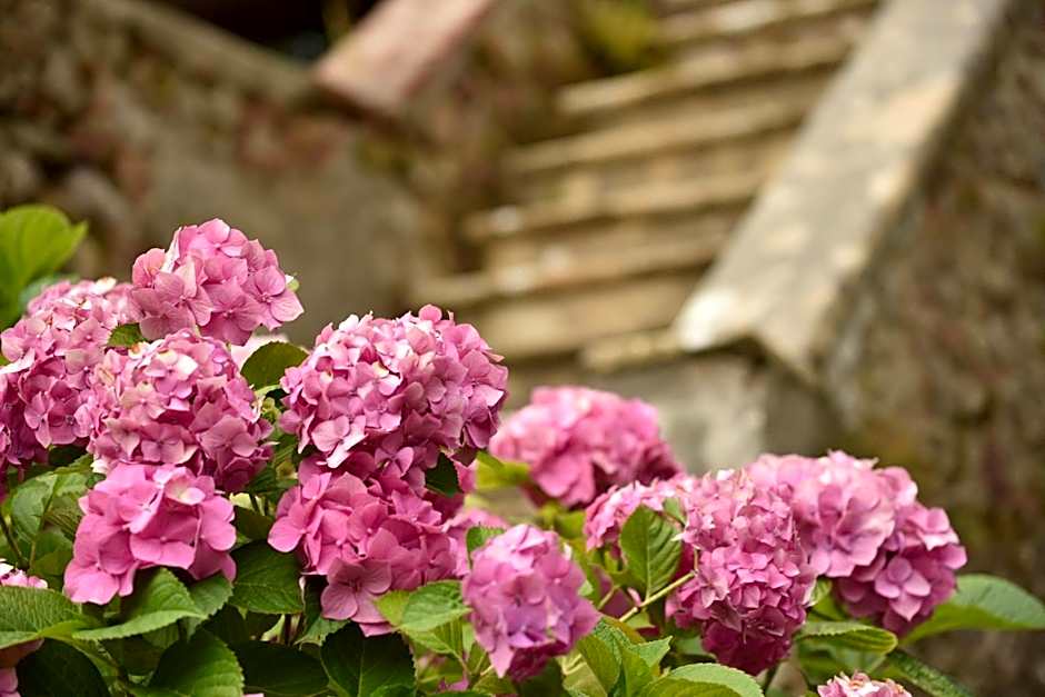 Relais Corte Rodeschi