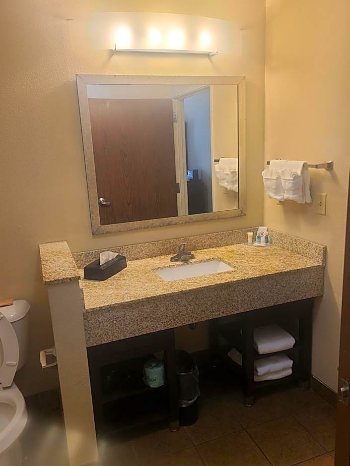 Dothan East Inn & Suites