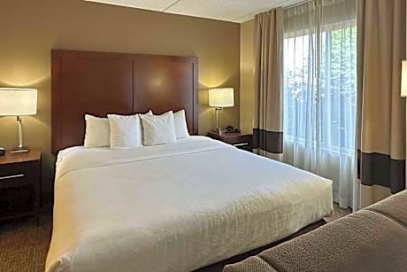 1 King Bed, Suite, Nonsmoking, Accessible