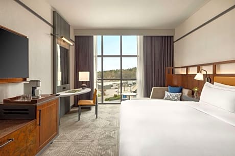 Premium King Room