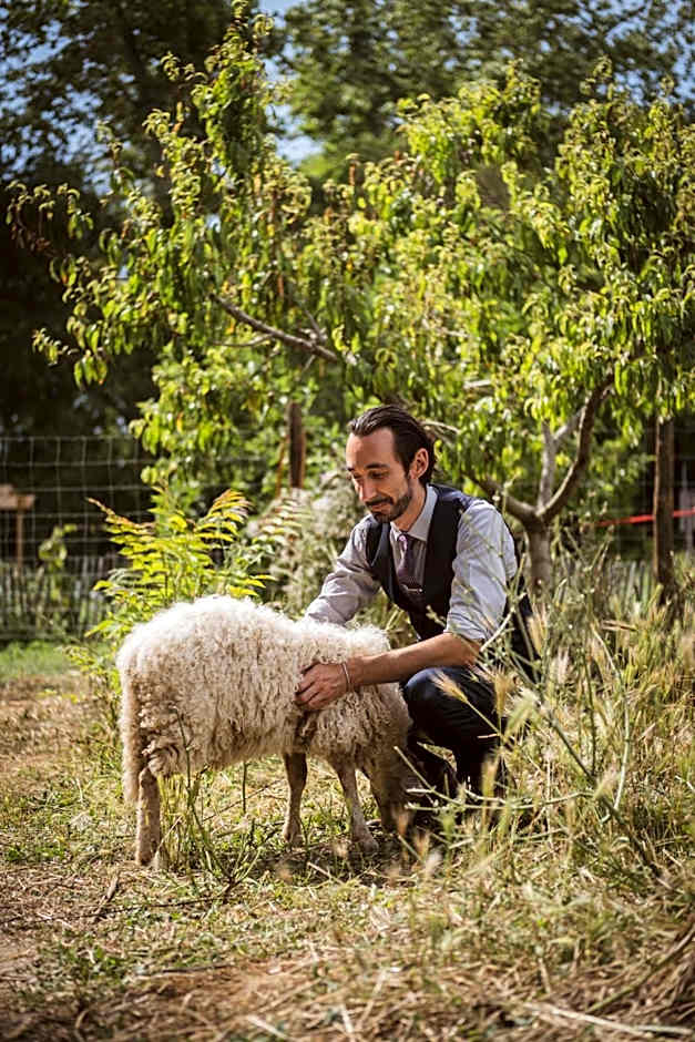 Château St Pierre de Serjac