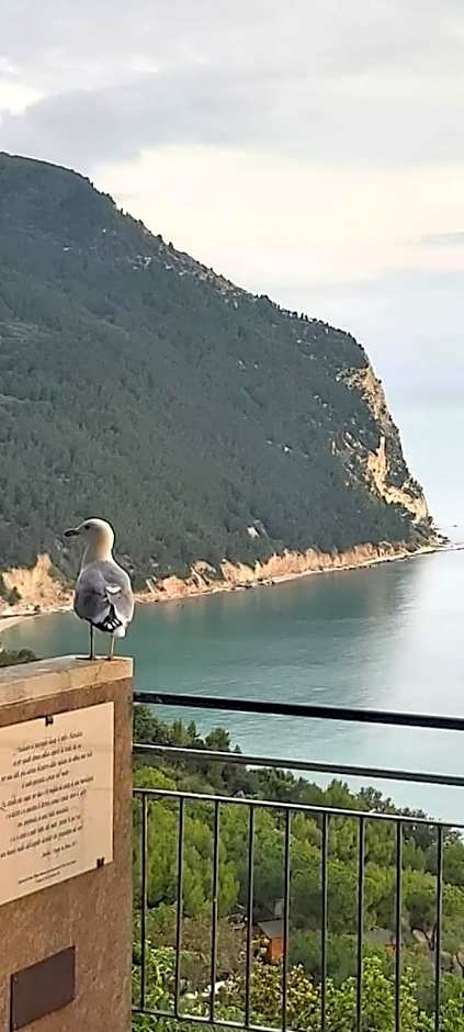 Affittacamere Villa Zelinda