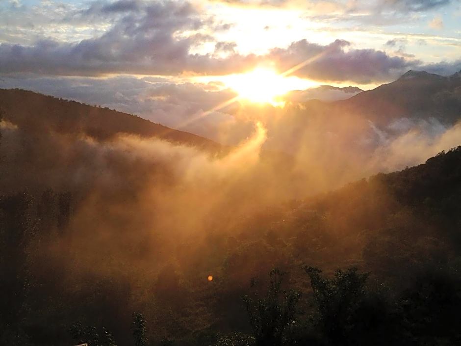 Chambre d'Hôtes La Marlotte