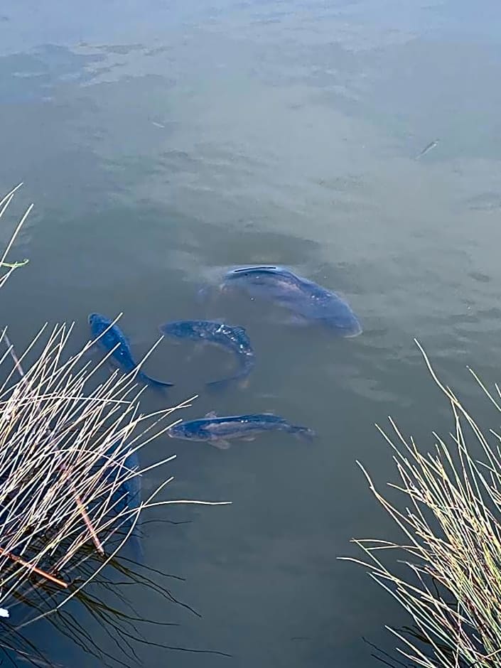 Cedars Southview, Skegness