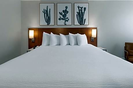 King Room with Roll-in Shower - Mobility Access/Non-Smoking