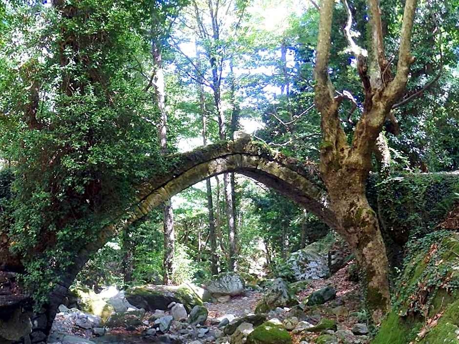 Archontiko Michael Pelion