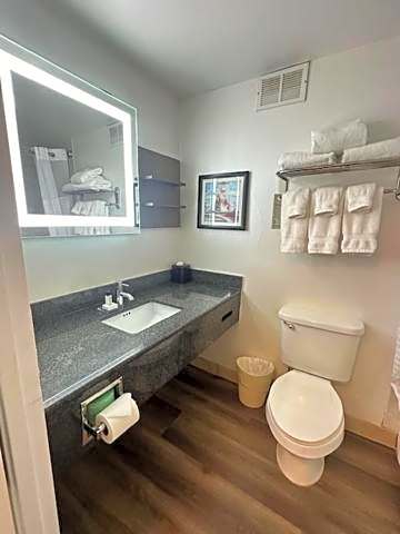 Wyndham Garden Norfolk Downtown