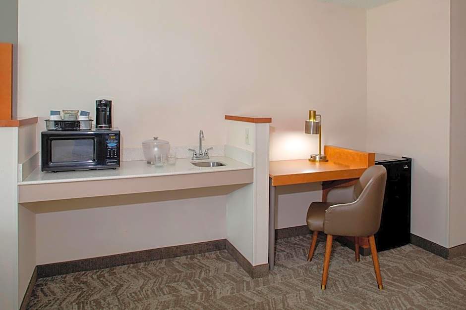 SpringHill Suites by Marriott Memphis East/Galleria