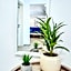 Marcos Apartments Victoriei - self check-in