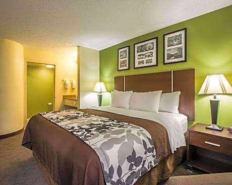 1 King Bed Nonsmoking Accessible