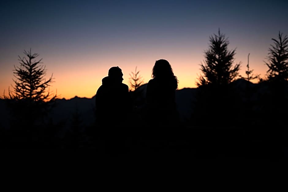 CHALET DES ALPES