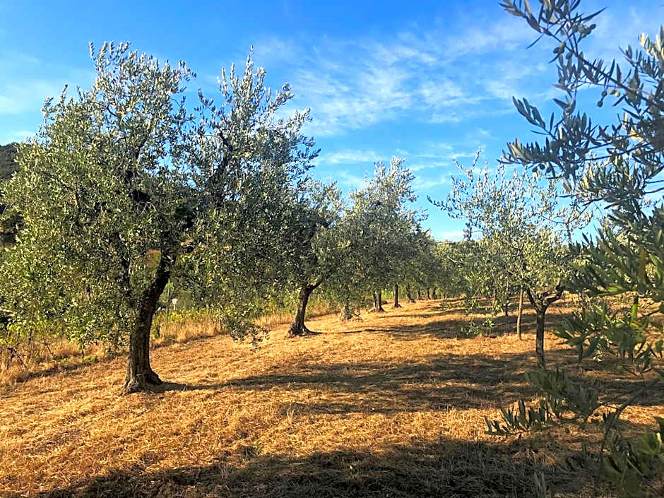 il Podere La Casina