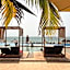 Royal Horizon Baobab