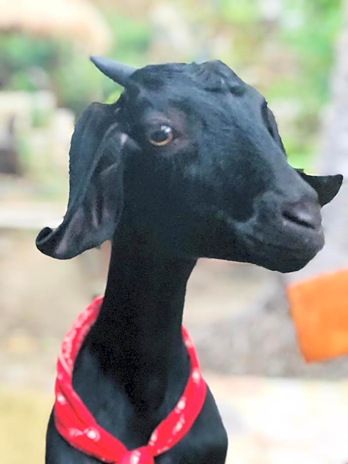 Alam Kita