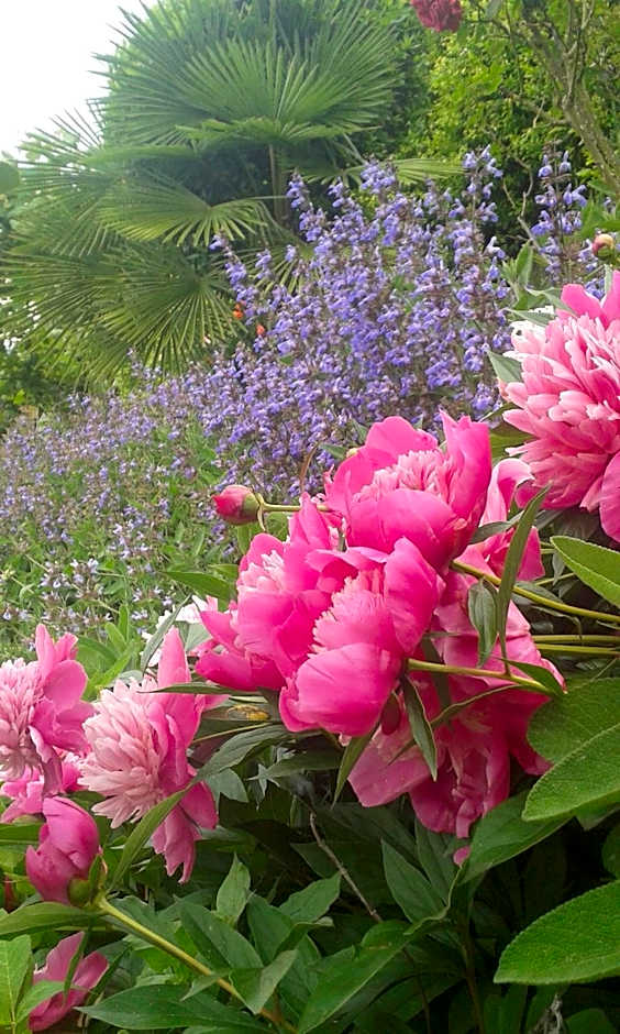 Albergo Ristorante Monterosa