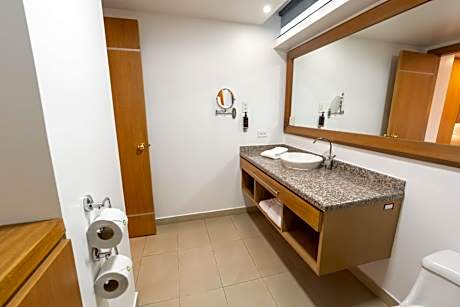 Premium Junior Suite with One King Bed