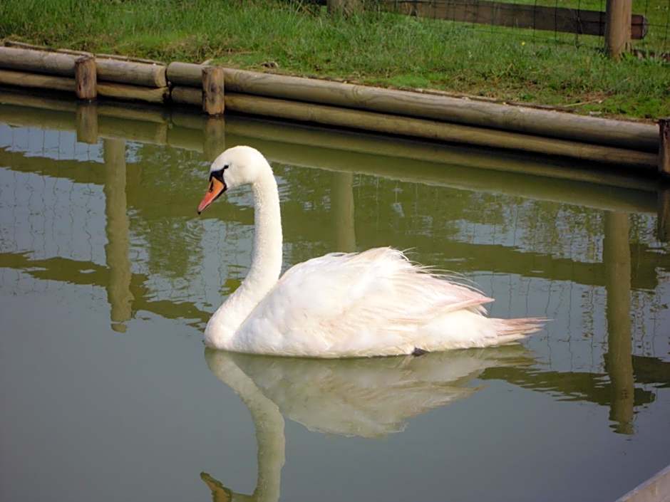 Hotel Restaurant Le Regal