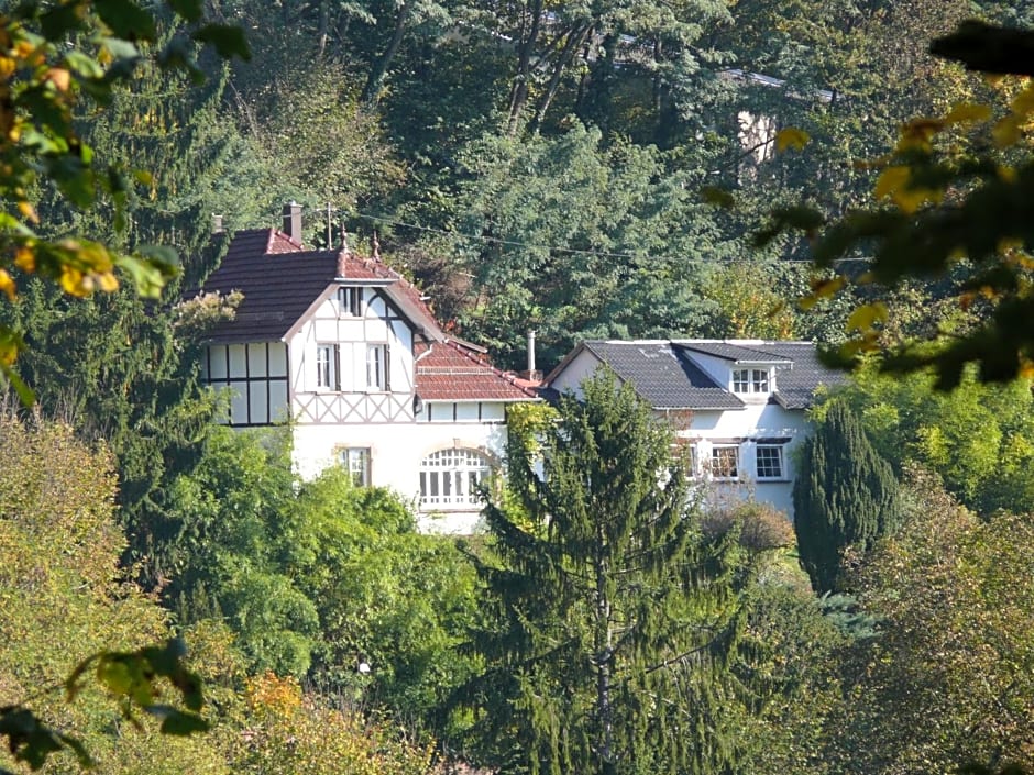 La Dependance de la Villa des Oiseaux - La Petite Pierre