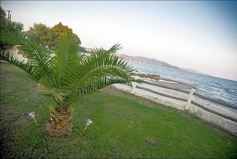 On the wave studios Spitakia sto kyma